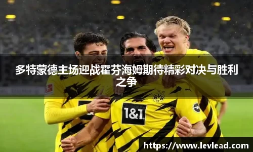 LH雷火官网